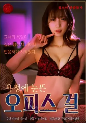 她的第二张脸 韩国心理剧情片封面